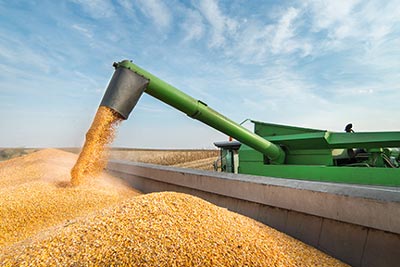 The Global Trade Solutions